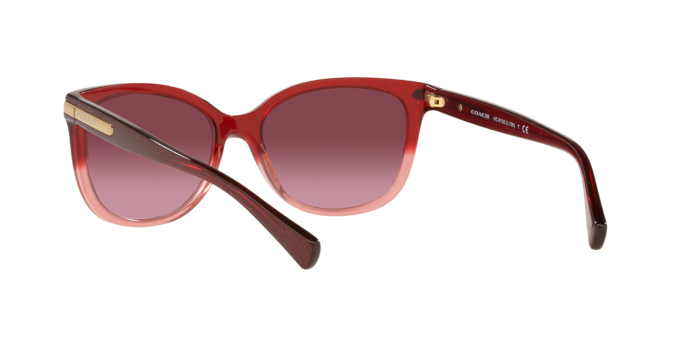 Coach HC8132 55518H L109 